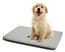 Panku Small 24inch Dog Bed Dog Crate Pad Durable Washable Waterproof Bed Crate Mat Breathable Memory Foam Soft Outdoor Crate Bed Calming Orthopedic Dog Bed (Grey 24x16x2)