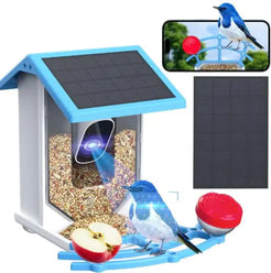 Solar Bird Feeder With Camera