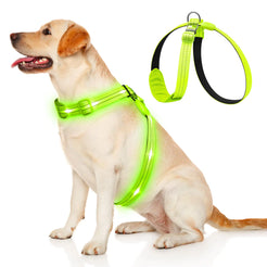 KOSKILL Light Up Dog Harness Led Dog Harness Rechargeable Lighted Dog Harness Glow in The Dark LED Dog Vest Reflective Light Up Harness for Dogs Dog Lights for Night Walking… XL