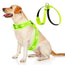 KOSKILL Light Up Dog Harness Led Dog Harness Rechargeable Lighted Dog Harness Glow in The Dark LED Dog Vest Reflective Light Up Harness for Dogs Dog Lights for Night Walking… XL