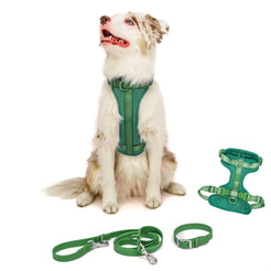Dog Harness and Leash Set | BearBone No Pull Dog Harness and Waterproof Dog Collar and Leash Set | Heavy Duty Dog Harness Leash and Collar | Small Dog Harness and Leash Set (Green Small)